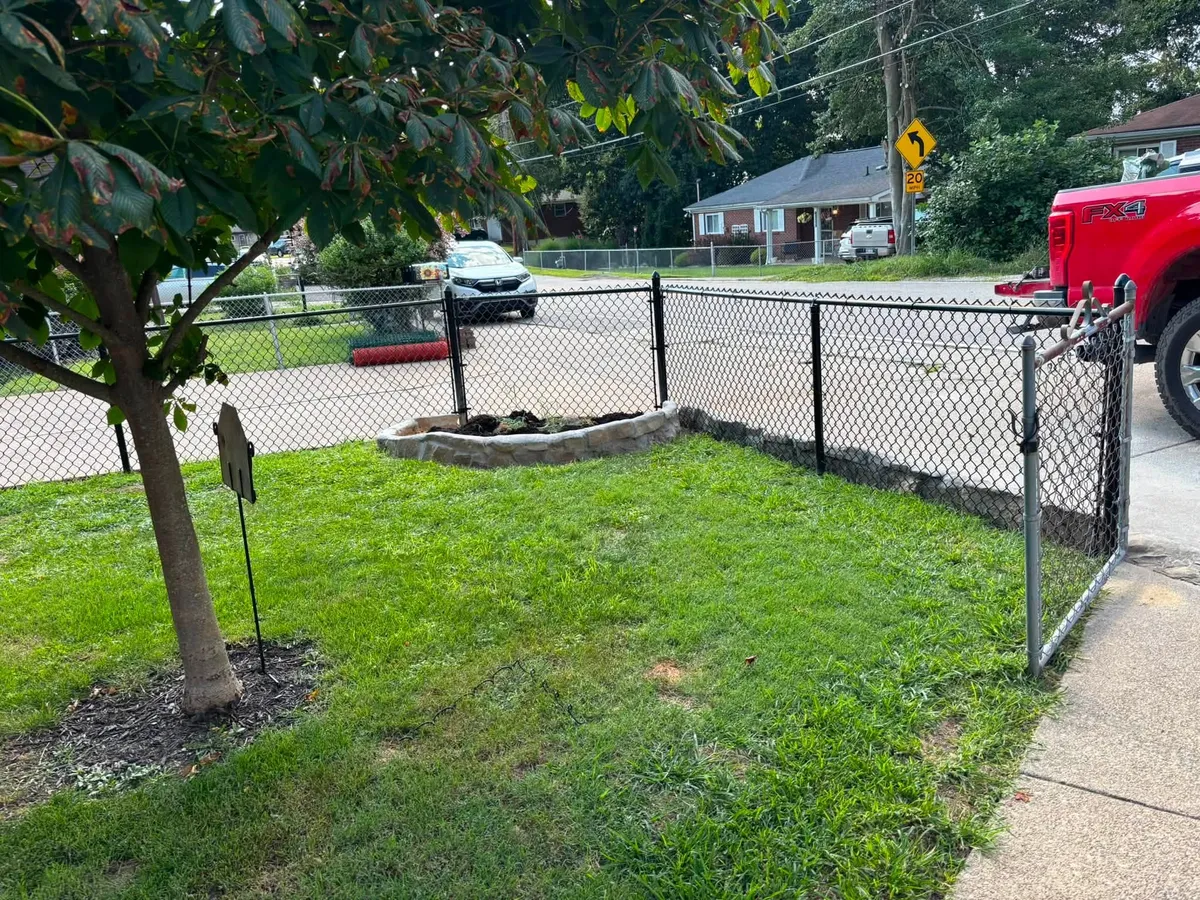Black chain-link fence around a front yard